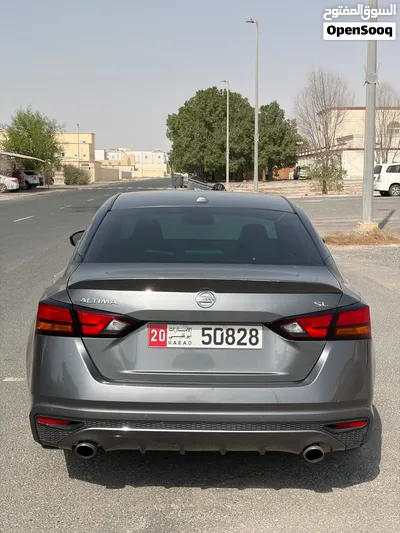 التيما 2019 وارد 3