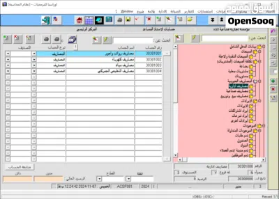 نظام محاسبة ، مستودعات ، رواتب ، نقاط بيع، الفوترة 3
