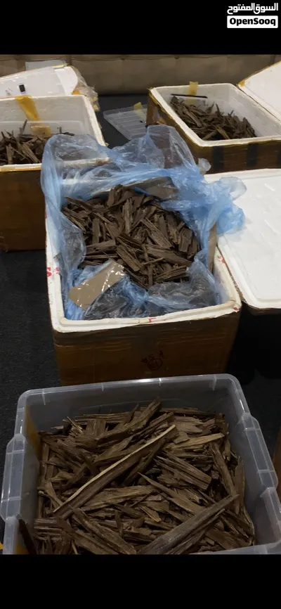 Oud (agar wood ) يتوفر خشب العود الطبيعي. 3