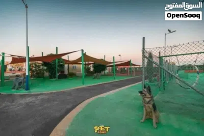 تدريب كلاب ..يجب أن تكون الخطوة الأولى في رحلتك الصيفيه هي تدريب كلبك. وتبدأ من THE PET ZONE CENTE 3