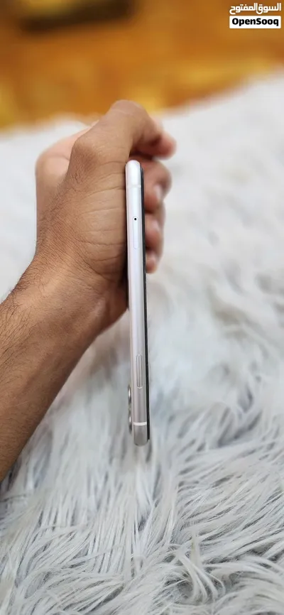 ايفون 11عادي 4