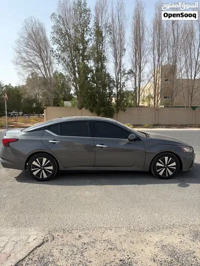 التيما 2019 وارد 2