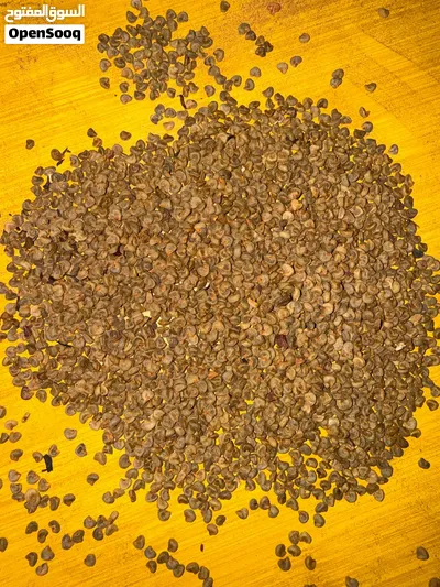 متوفر بذور كركدية سوداني من اجود انواع الكركديه و نسبة إنبات عالية و شكل الشجرة والزهرة جميل للزينه 3