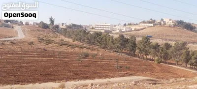 طريق بلعما الزرقاء أرض 3400 متر شارعين 30 +14 2