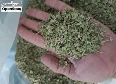 زعتر بري إيراني طبيعي مُجمّع من جبال جنوب إيران 3
