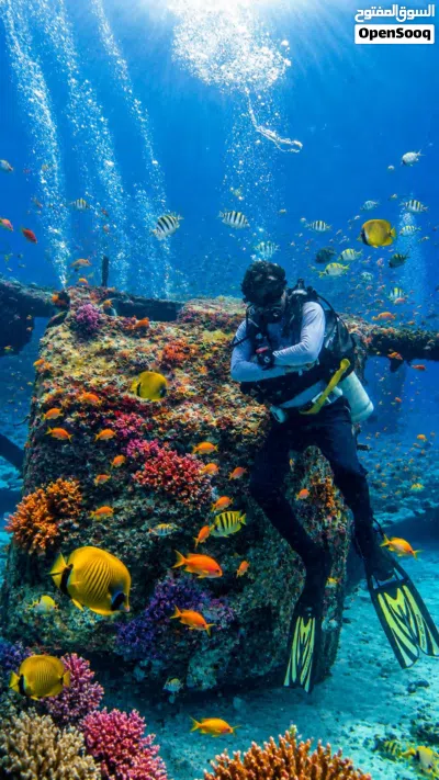 دورة جرب الغوص Try Dive 3