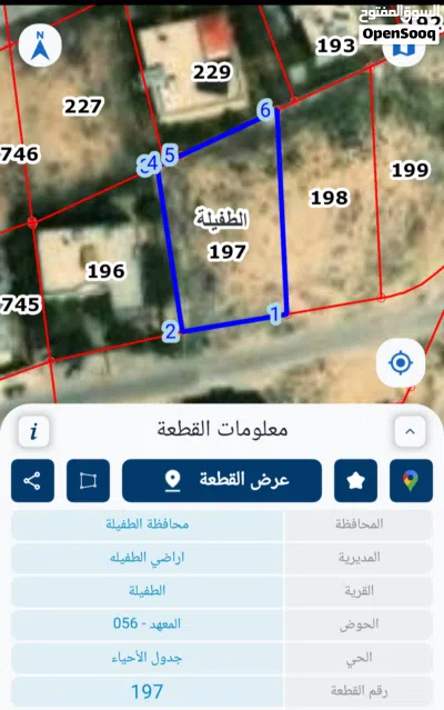 فرصة استثمارية نادرة بجوار الجامعة 3