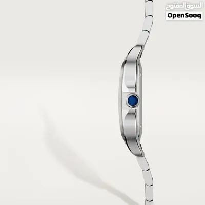 Cartier Santos de Cartier watch White Dial 4
