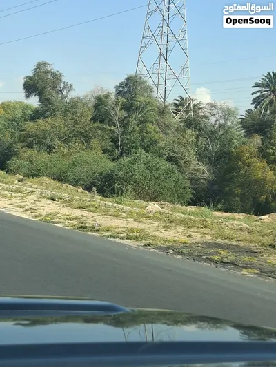 نص منزل للايجار في الهضبة الكيزة 2