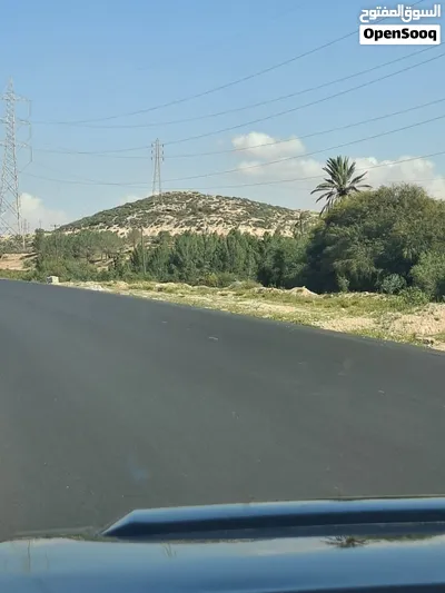 نص منزل للايجار في الهضبة الكيزة 3