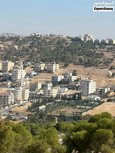 أرض سكني على مطل النبعة الخلاب للبيع 4