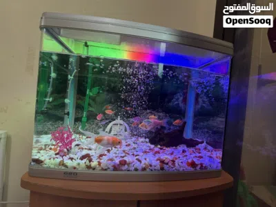 620 Model Aquarium with Koi Fishes cabinet and EHIEM 440 Pump 4