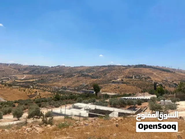 750 م ام رمانه ( دغيليب) منطقة فلل مطله ع شفا بدران جميع الخدمات مميزه