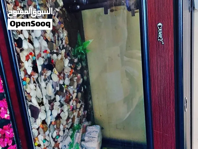 حوض سمك ماركه عالميه CAMRYاستخدام بسيط كوالتي عالي بحاله ممتازة جدا كامل مكمل جاهز للاستخدام