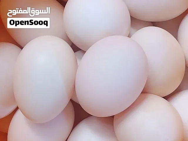 متاح طبقة بيض 30 بيضه