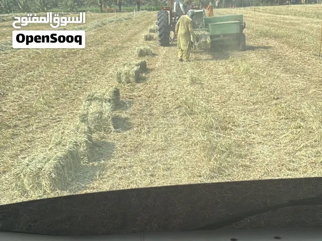 بيع آعلاف على جميع مناطق السلطنه وخارج السلطنه