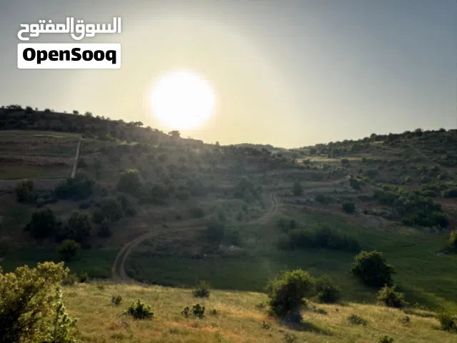 تملك اطلالة رائعة في جرش باستثمار جيد