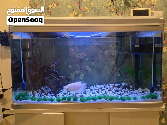 Aquarium with  fish