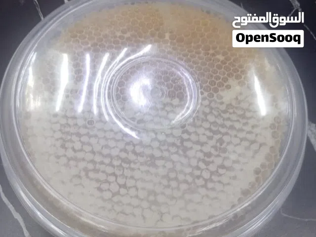 العسل الطبيعي عسل البريمي الطبيعي مكفول ان شاء الله على التجربة