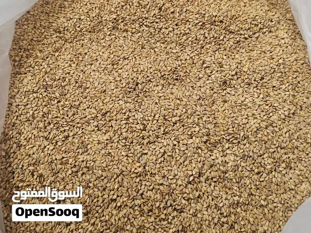 سمسم بلدي نخب أول