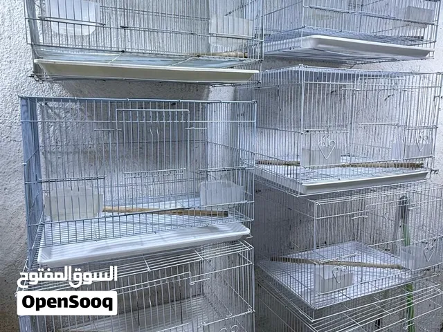 اقره الوصف