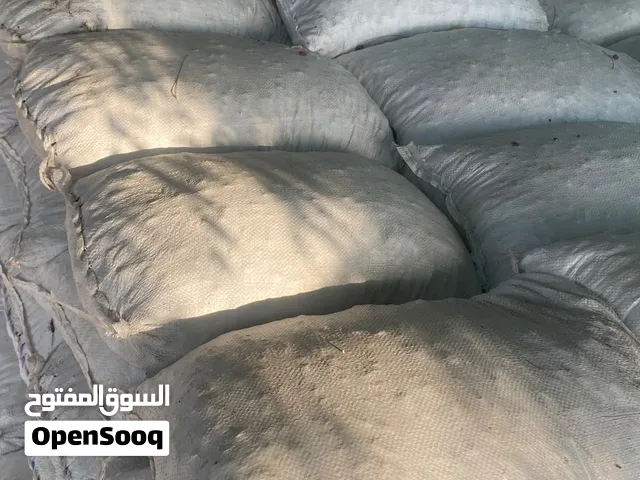 بيع سح نفيعة مال سنه