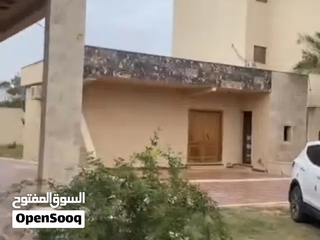 هكتار للبيع على الرئيسي السراج خلة الفاندي