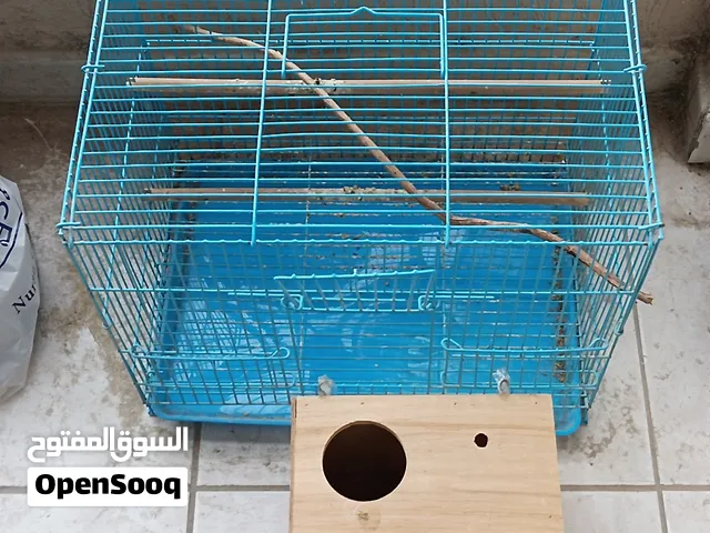 Birds cage