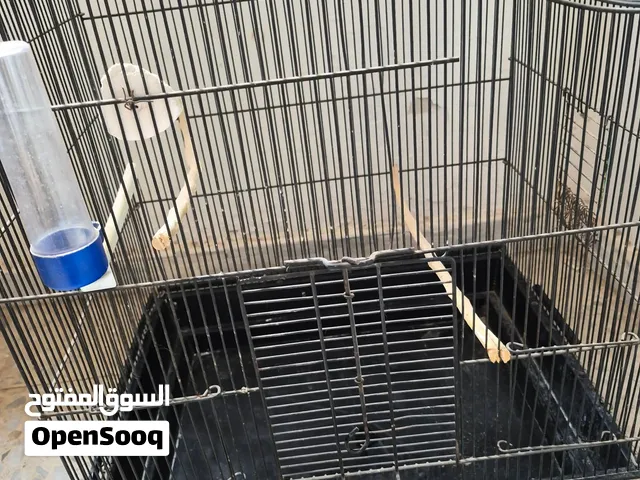 قفصة بباغة للبيع بسعر 30