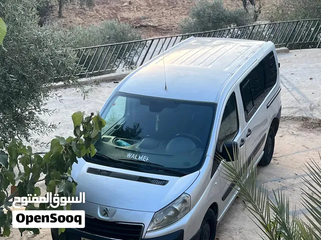 بيجو اكسبيرت جمبي 2013