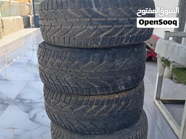 كوشوك ثلجي