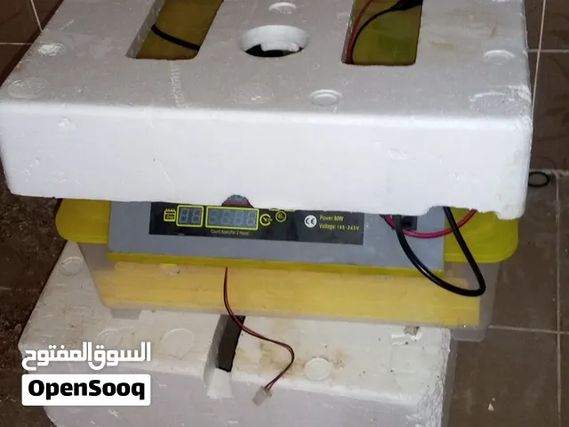 حضانة 56بيضه للبيع