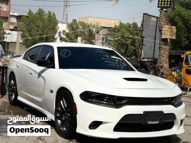 دوج جارجر سكات باك 2023