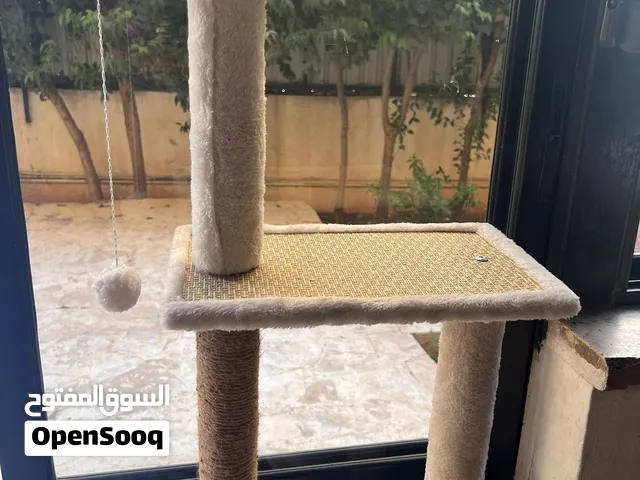 برج تسلق ومخدش للقطط + نفق قماشي للعب