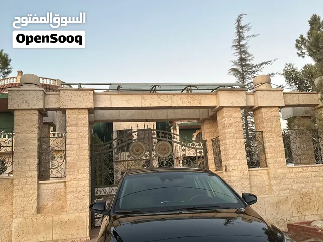 Used Hyundai Ioniq in Zarqa
