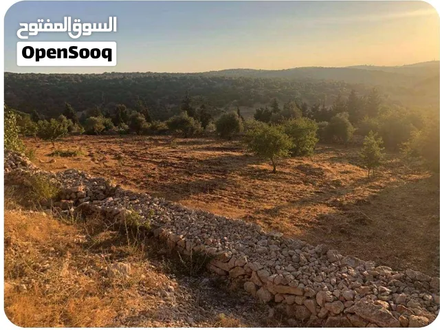 مزرعة 10 دونمات عالشارع من اولها لأخرها قرب مؤسسة الروابي العسكرية و كازية توتل