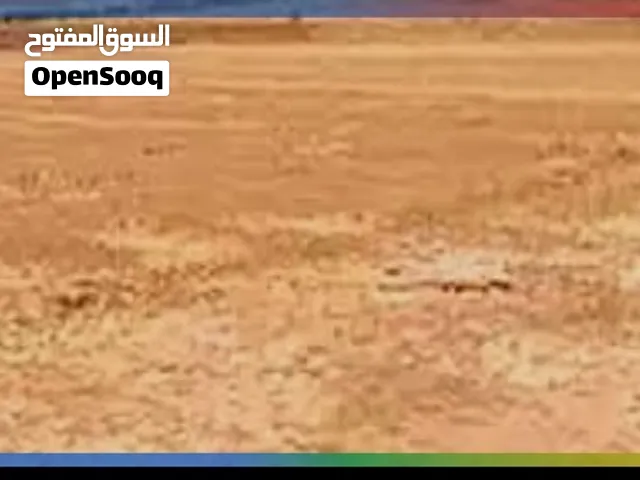 28فدان التل الكبير تراخيص فلل وقصور بالقرب من طريق مصر الاسماعيليه الصحراوي