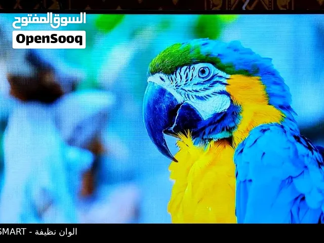 شاشة نيكاي 32 سمارت