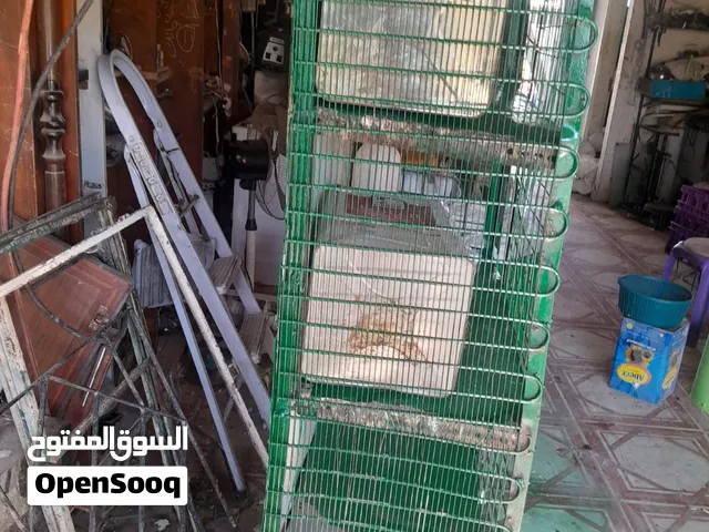 قنون حمام 4 طوابق