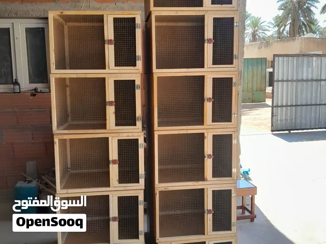 بارتيات حمام