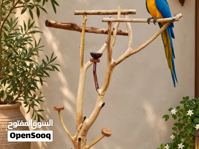 ستاند للكاسكو ولطيور الكبيره Stand for large birds