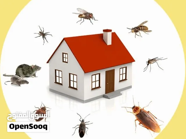 مكافحة جميع انواع الحشرات مع الظمان