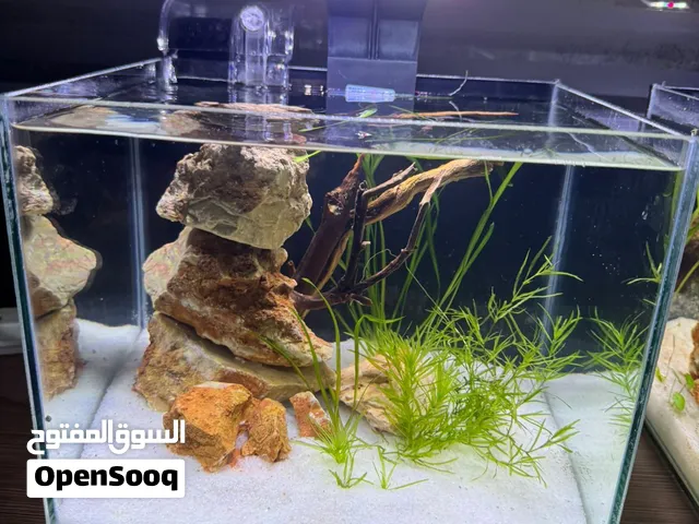 6mm glass aquarium for sale