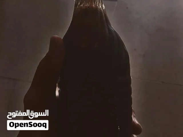 رب تمر جديد