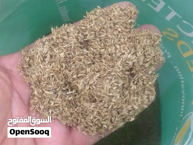 حشيش كاتمبورا ورودس استرالي الوكيل الحصري الوحيد