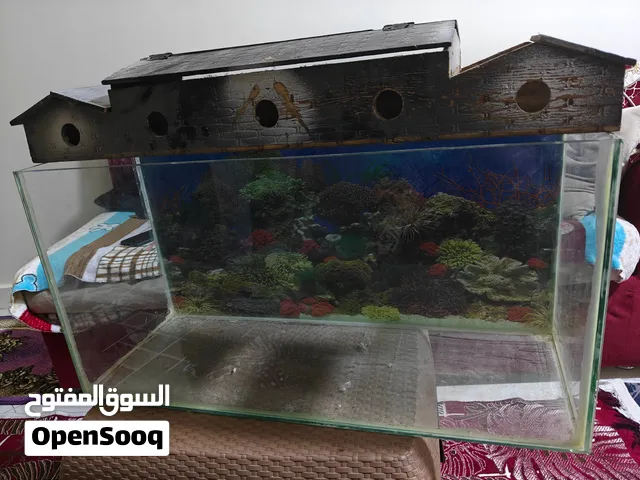 حوض سمك زينه
