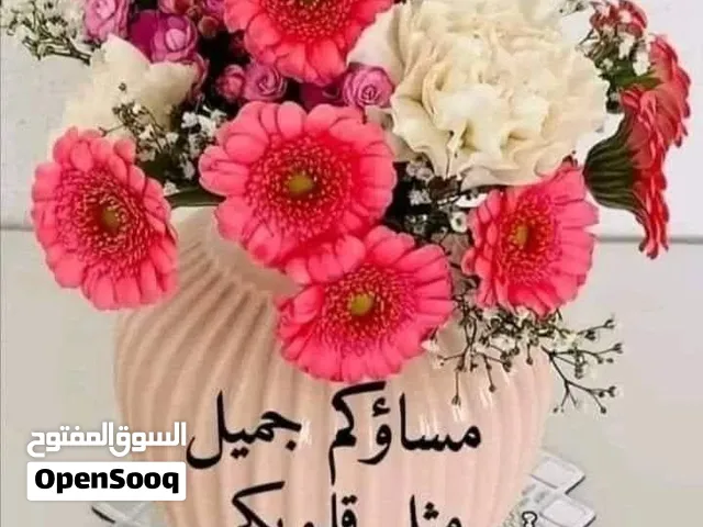 حطب مشمش وزيتون مجانا