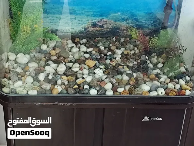 حوض سمك مستعمل للبيع
