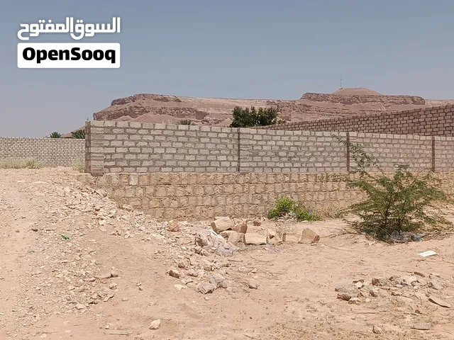 ارض للبيع في تريم