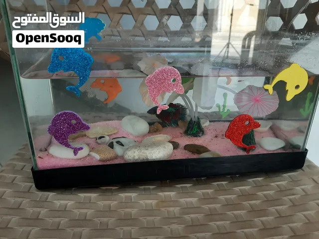 حوطة سماكة